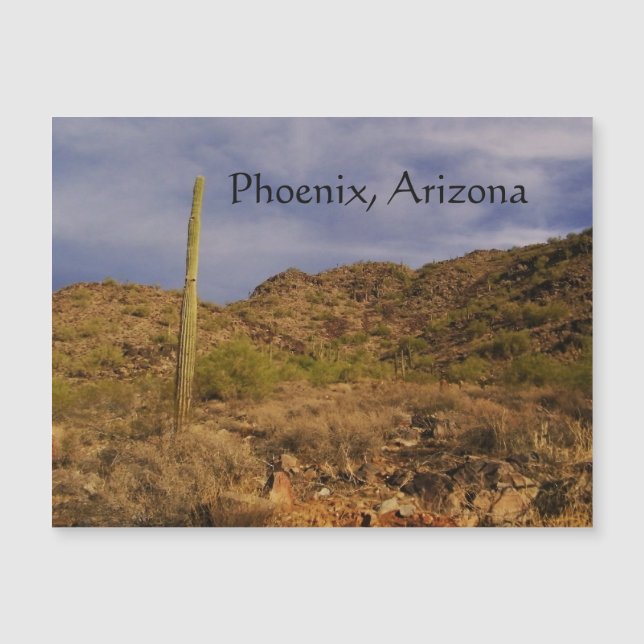 Journée orageuse à Phoenix (Devant)