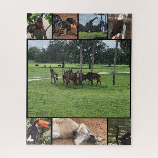 Jours au Zoo - Collage de Puzzle Animal (Vertical)