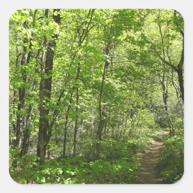 Jours d'été (1) Stickers (Devant)