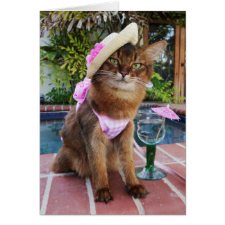 Jours d'été comportant l'été le chat