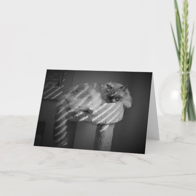 Jours lents, carte (Devant)