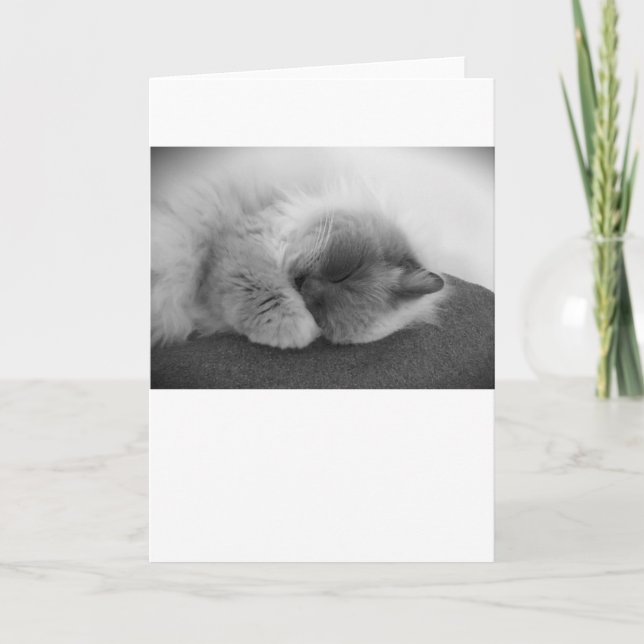 Jours lents, carte (Devant)