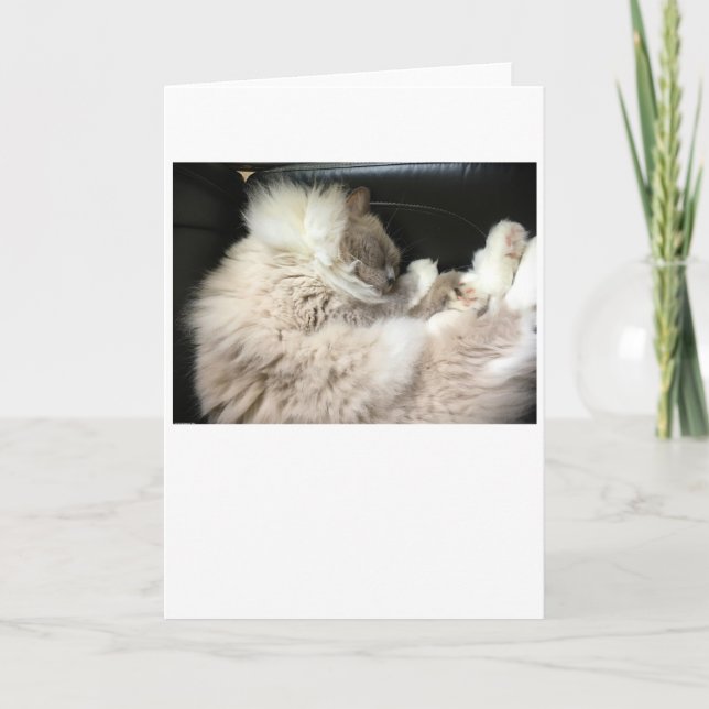 Jours lents, carte (Devant)