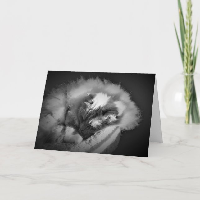 Jours lents, carte (Devant)