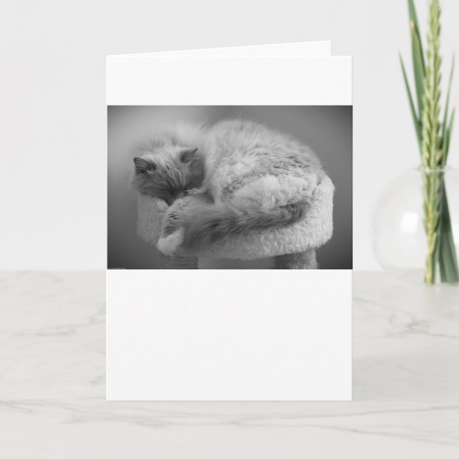 Jours lents, carte (Devant)