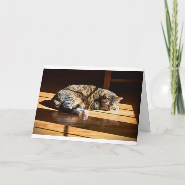 Jours lents, carte (Devant)