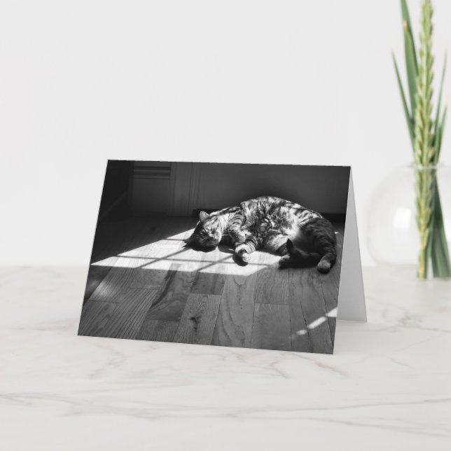 Jours lents, carte (Devant)