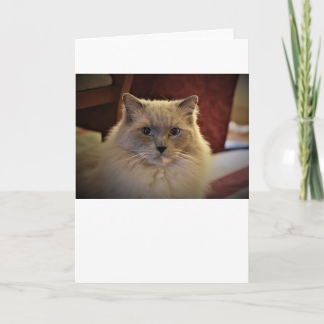 Jours lents, carte (Devant)