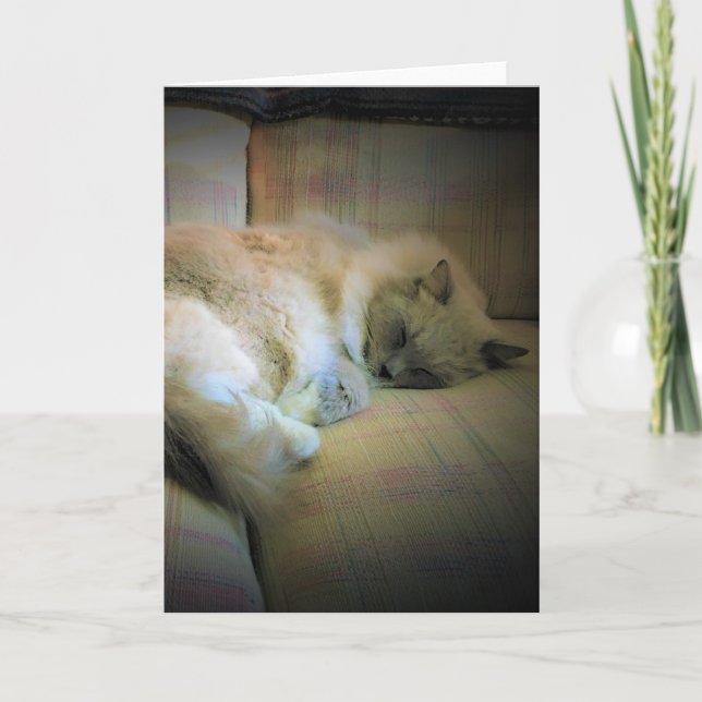 Jours lents, carte (Devant)