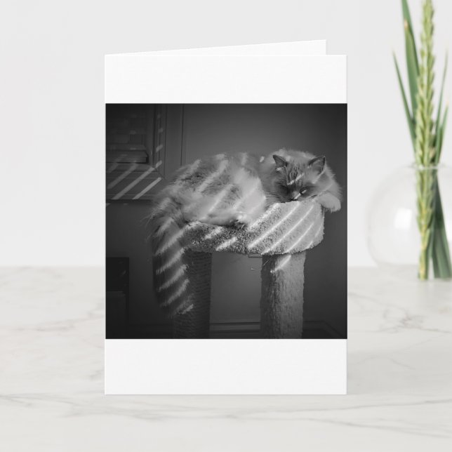 Jours lents, carte (Devant)