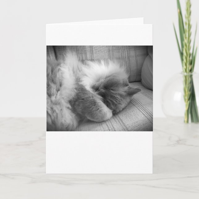 Jours lents, carte (Devant)