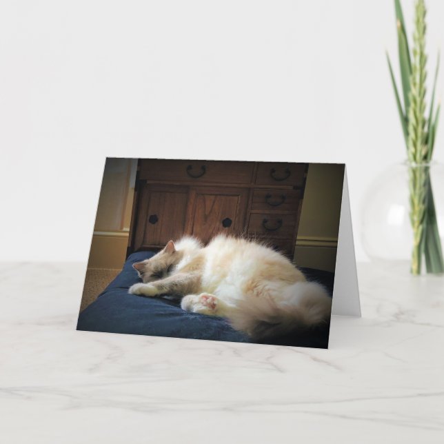 Jours lents, carte (Devant)