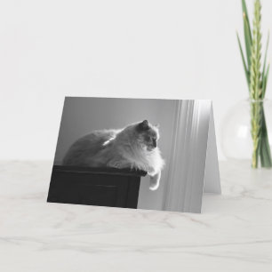 Jours lents, carte