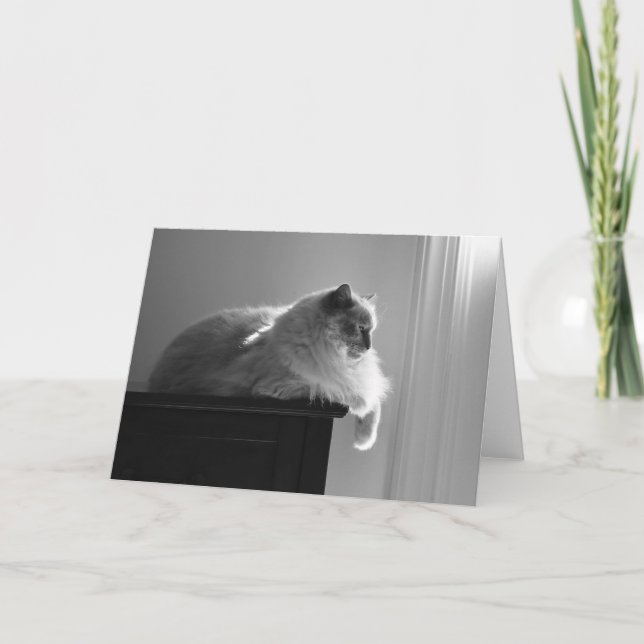 Jours lents, carte (Devant)