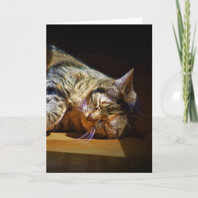 Jours lents, carte (Devant)