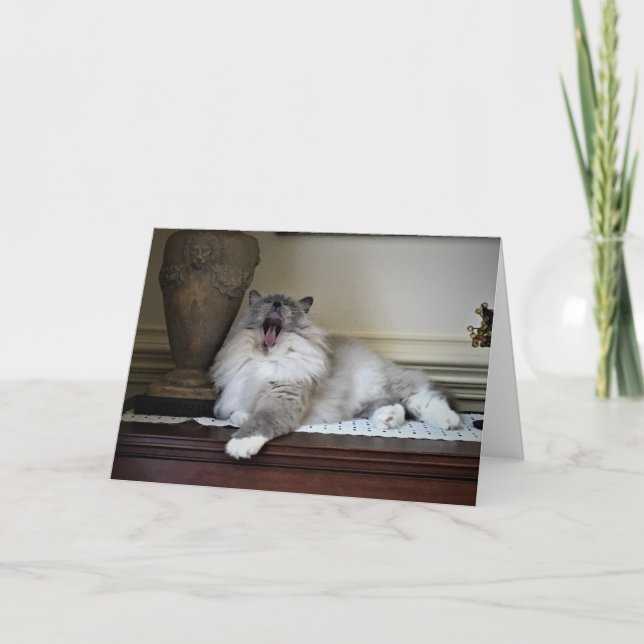 Jours lents, carte (Devant)