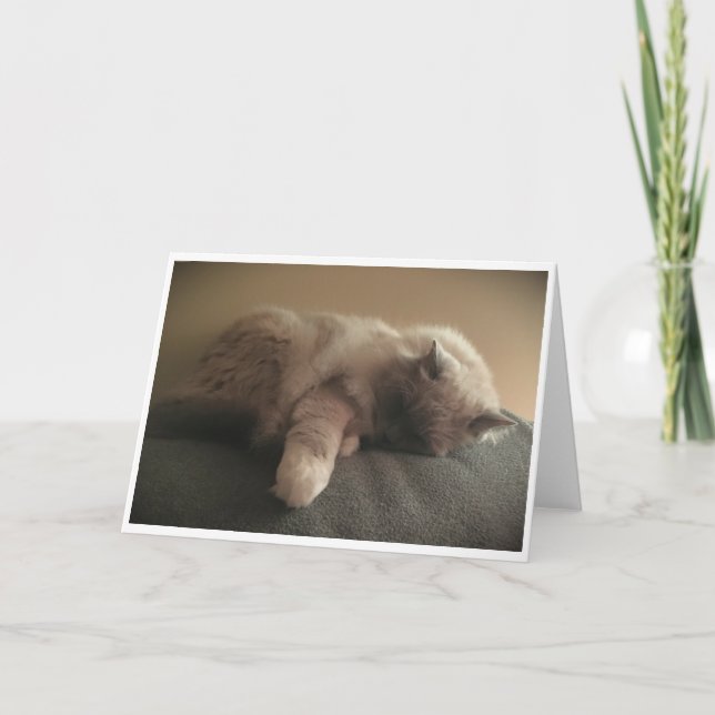Jours lents, carte (Devant)