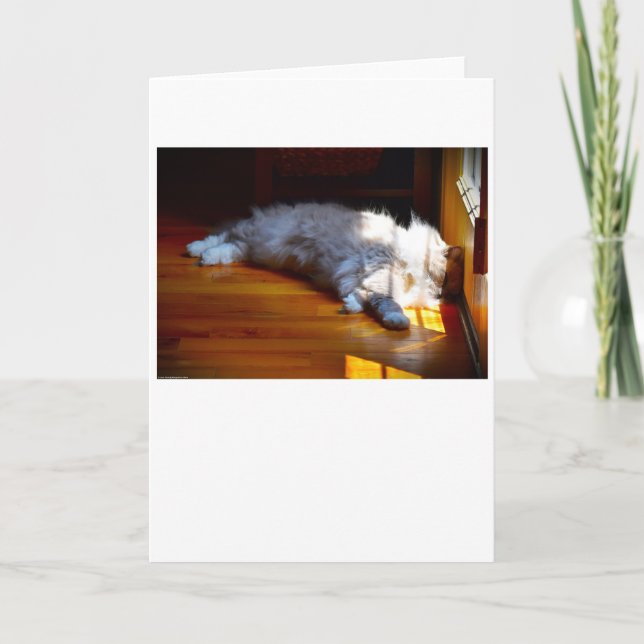 Jours lents, carte (Devant)