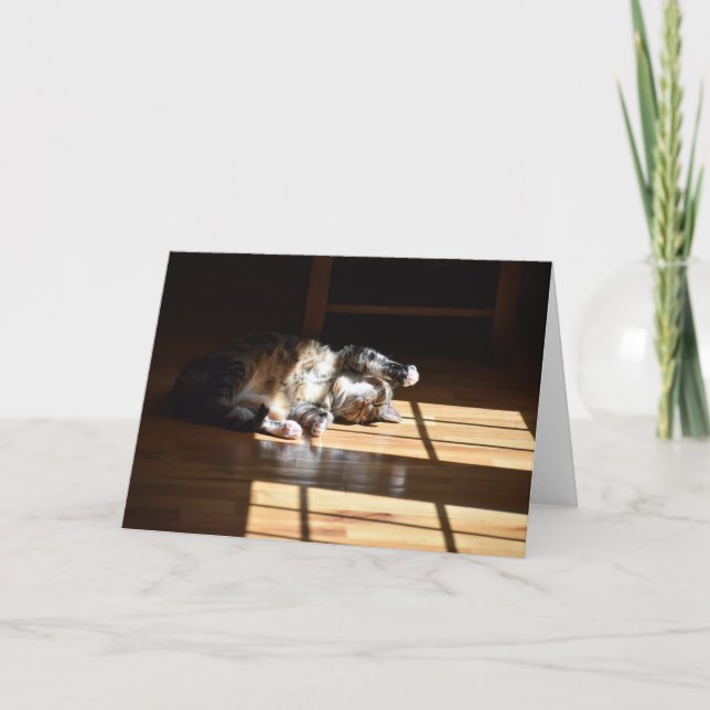 Jours lents, carte (Devant)