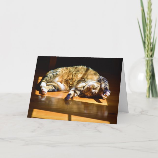 Jours lents, carte (Devant)