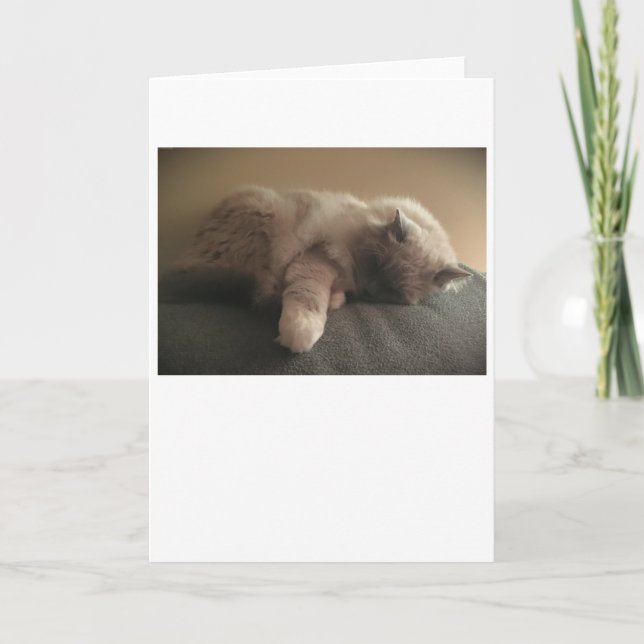 Jours lents, carte (Devant)