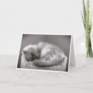 Jours lents, carte