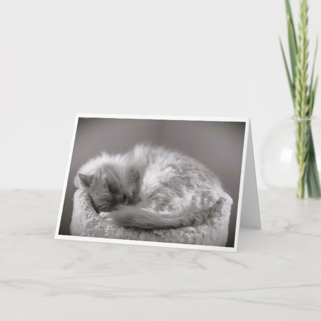 Jours lents, carte (Devant)