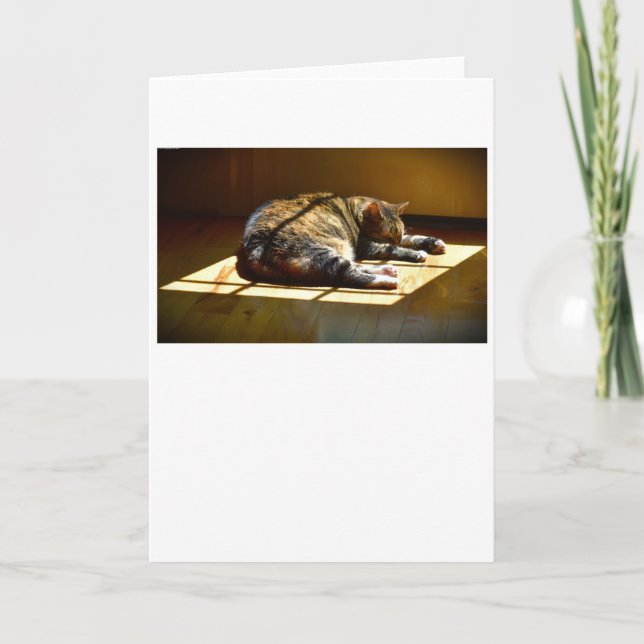 Jours lents, carte (Devant)