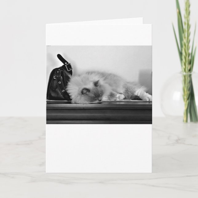 Jours lents, carte (Devant)