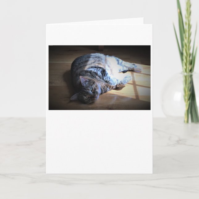 Jours lents, carte (Devant)