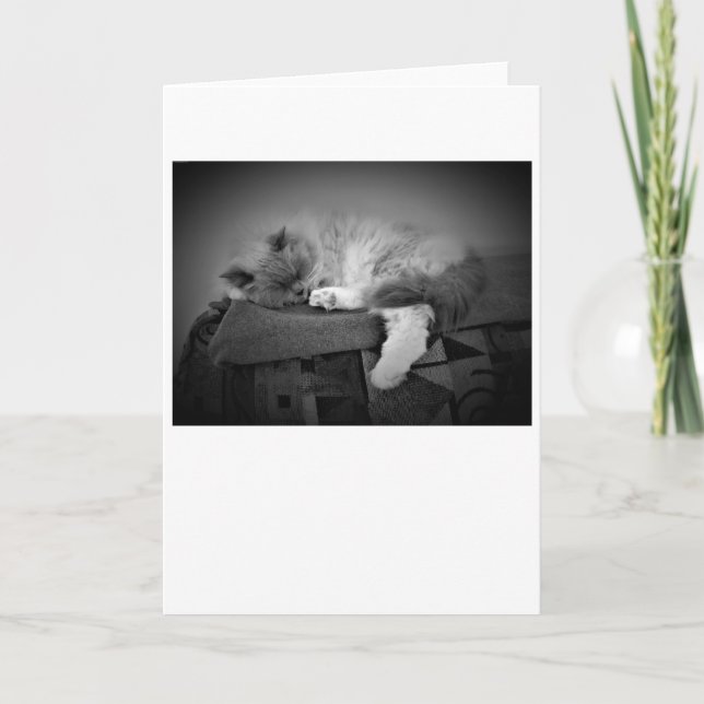 Jours lents, carte (Devant)