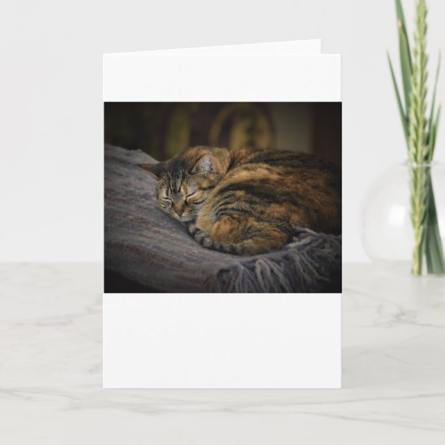 Jours lents, carte (Devant)