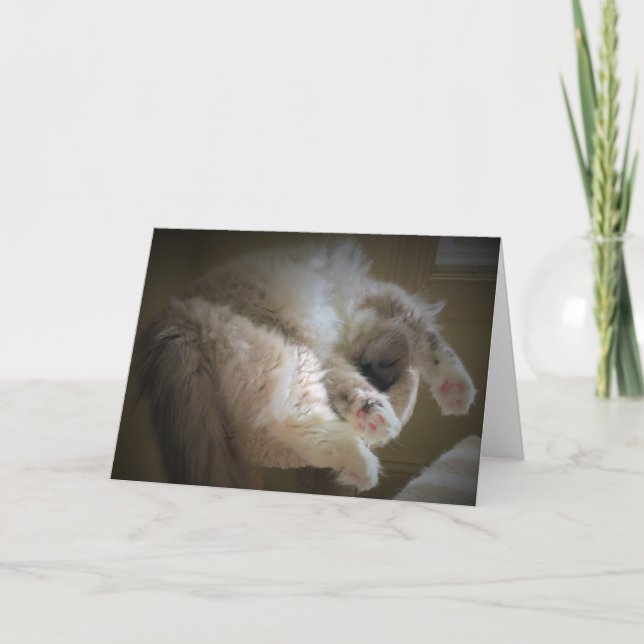Jours lents, carte (Devant)