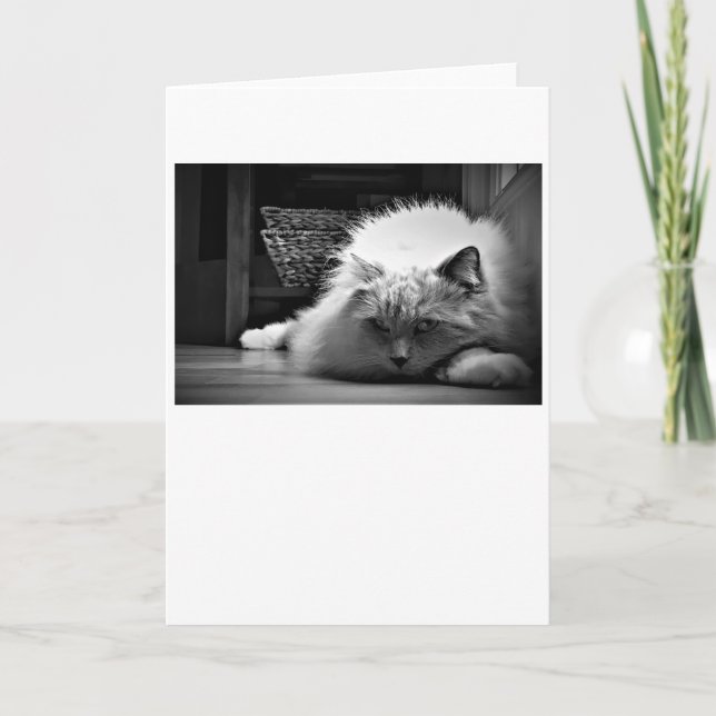 Jours lents, carte (Devant)