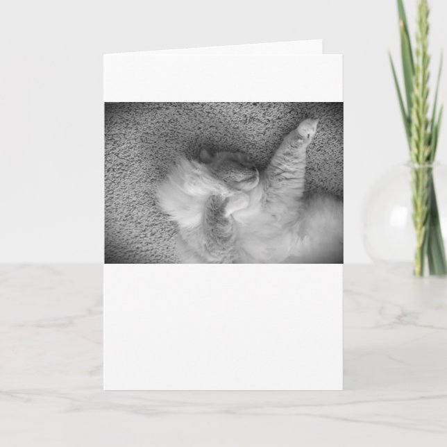 Jours lents, carte (Devant)