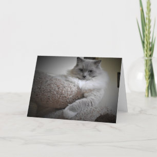 Jours lents, carte