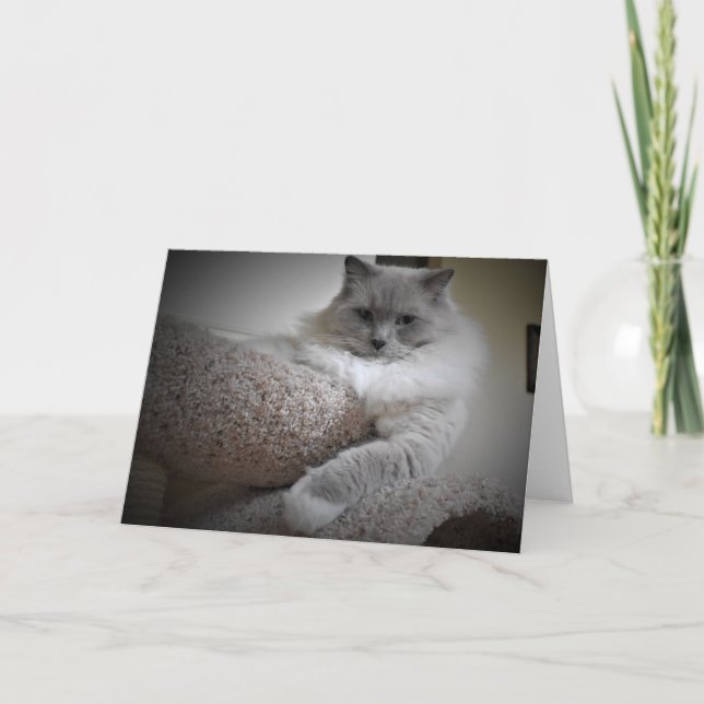 Jours lents, carte (Devant)