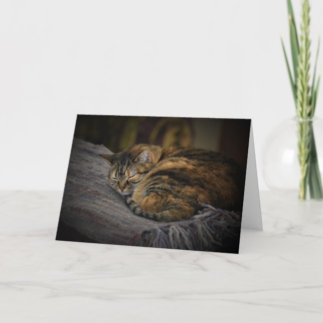 Jours lents, carte (Devant)