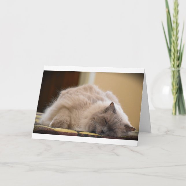 Jours lents, carte (Devant)