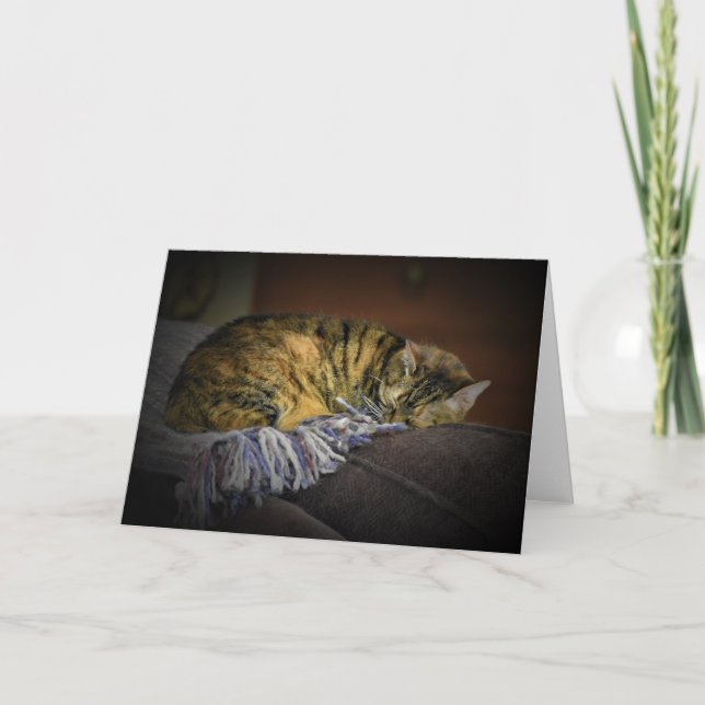 Jours lents, carte (Devant)