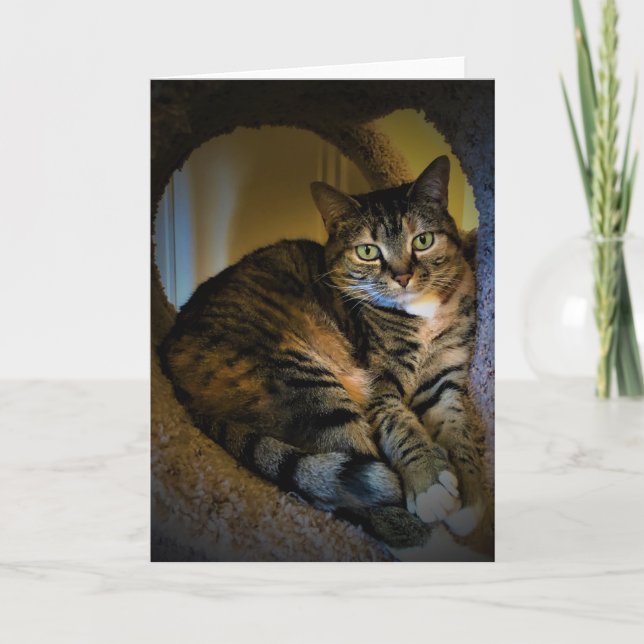 Jours lents, carte (Devant)