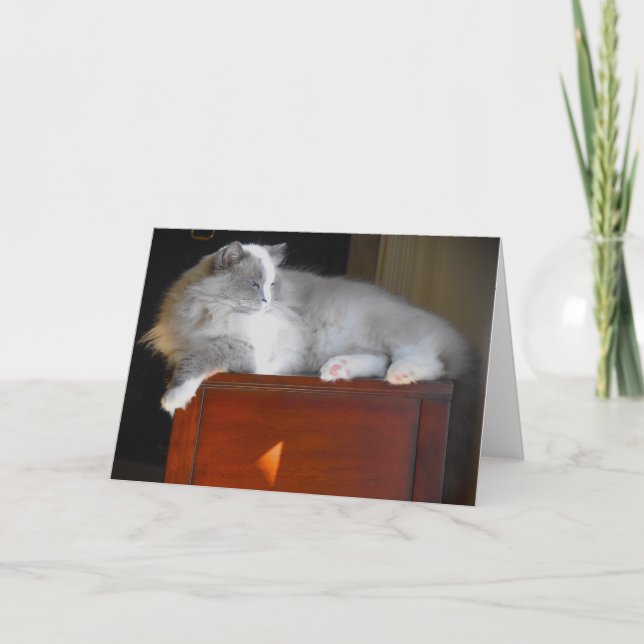 Jours lents, carte (Devant)