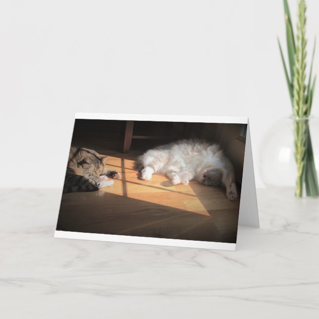 Jours lents, carte (Devant)