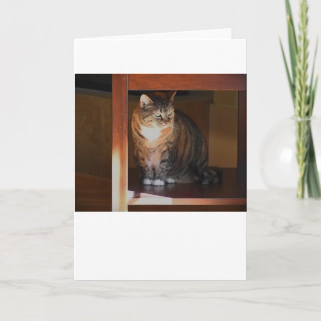 Jours lents, carte (Devant)