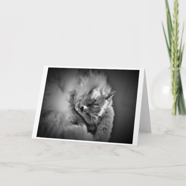 Jours lents, carte (Devant)