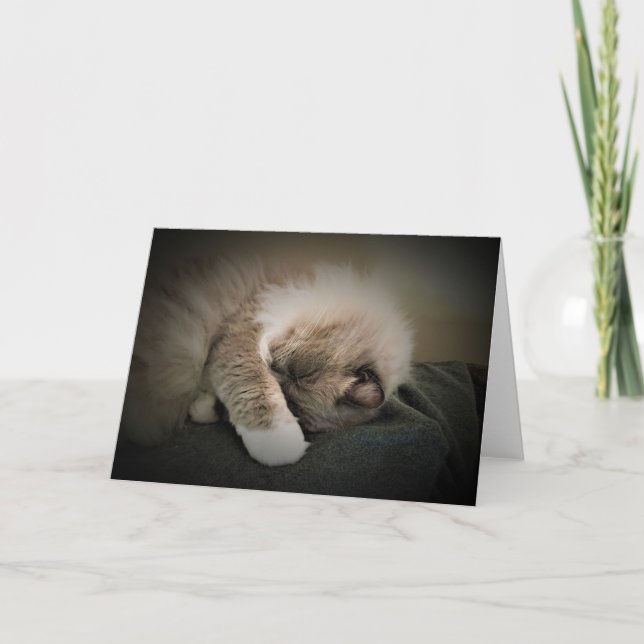 Jours lents, carte (Devant)