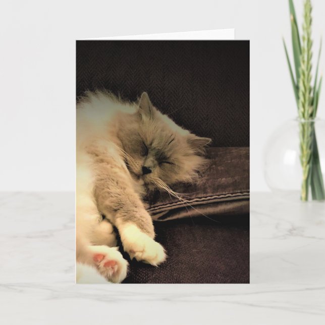 Jours lents, carte (Devant)