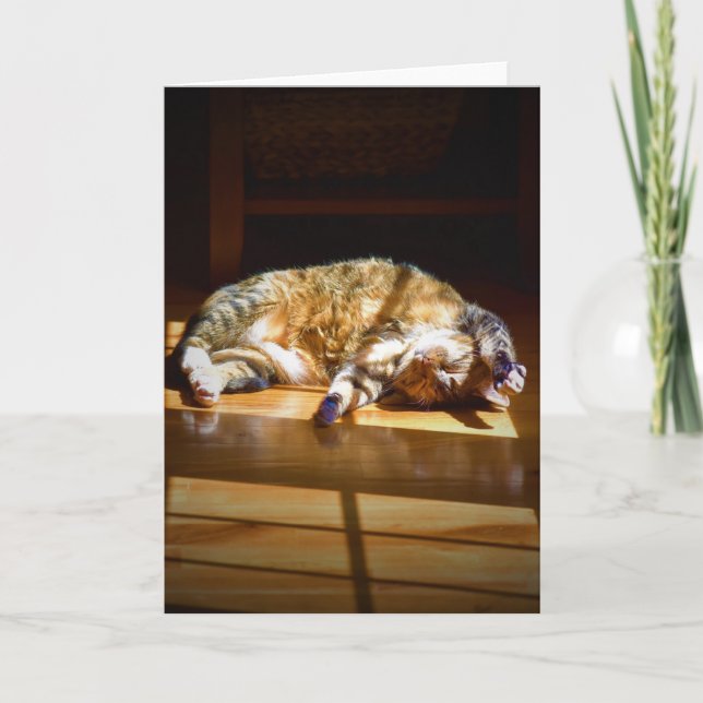 Jours lents, carte (Devant)