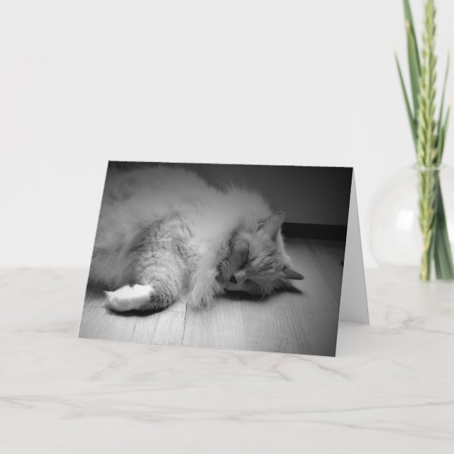 Jours lents, carte (Devant)