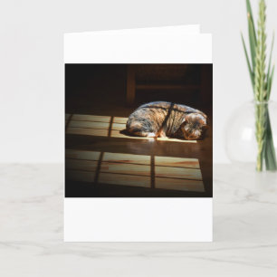 Jours lents, carte